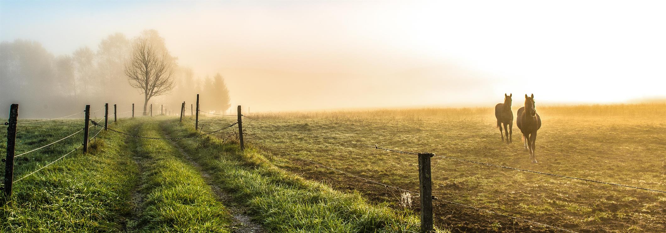 Naslovna fotografija