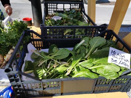 Lokalna tržnica v Ribnici