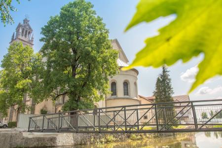 Brv, foto Matevž Petrovič