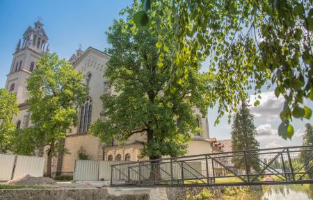 Brv, foto Matevž Petrovič