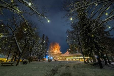 Praznična Ribnica- avtor Daniel Vincek