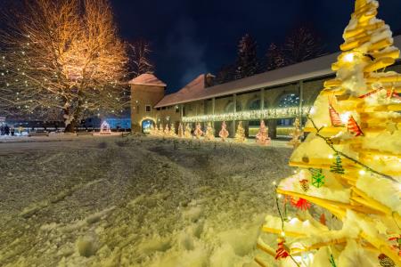 Praznična Ribnica- avtor Daniel Vincek