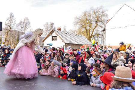 Pust v Ribnici, avtor Matevž Petrovič