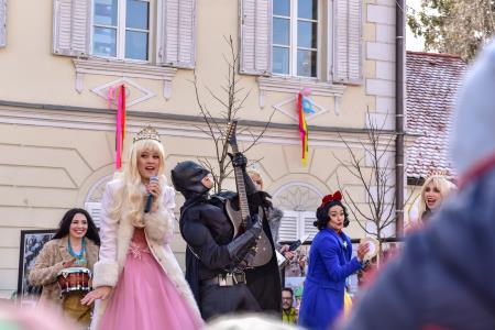 Pust v Ribnici, avtor Matevž Petrovič