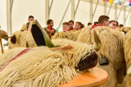 Pust v Ribnici, avtor Matevž Petrovič