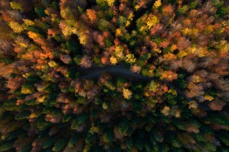 Podpis Zelene zaveze slovenskega turizma