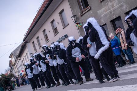 332225513_1011495929828148_9178642028048805228_n