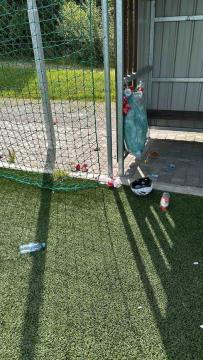 451292763_797919522532854_1260114468008606934_n