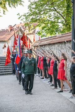Slovesnost ob dnevu državnosti