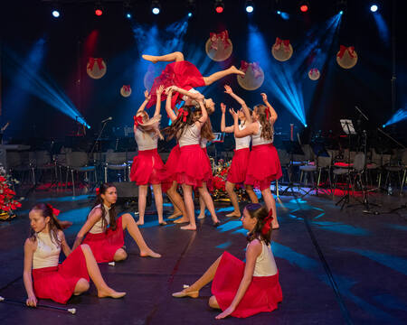 Božično - novoletni koncert