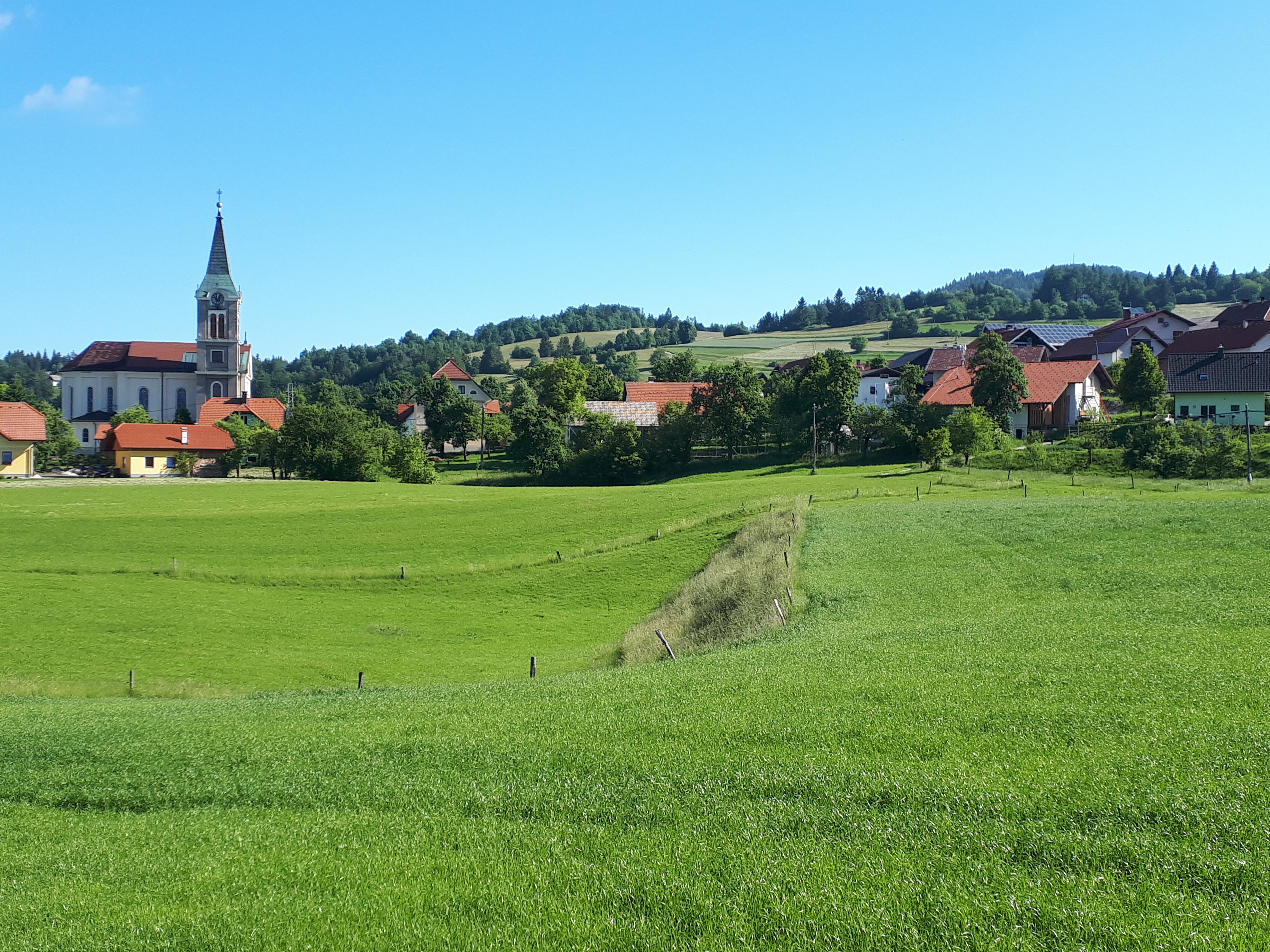 Velike_Poljane_2020.jpg